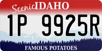 ID license plate 1P9925R