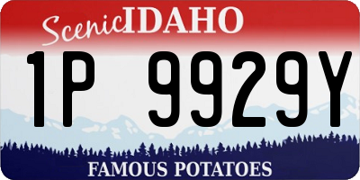 ID license plate 1P9929Y
