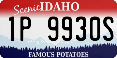 ID license plate 1P9930S