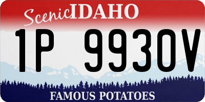 ID license plate 1P9930V