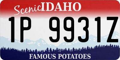 ID license plate 1P9931Z