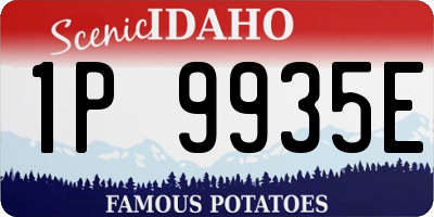ID license plate 1P9935E