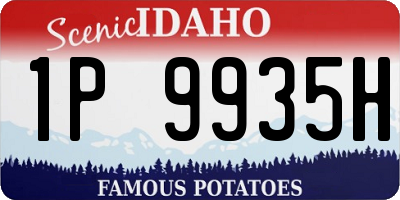 ID license plate 1P9935H