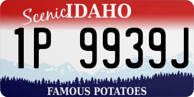ID license plate 1P9939J