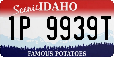ID license plate 1P9939T