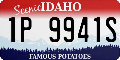 ID license plate 1P9941S