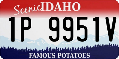 ID license plate 1P9951V