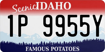 ID license plate 1P9955Y