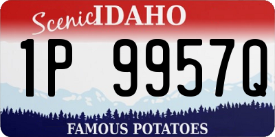 ID license plate 1P9957Q