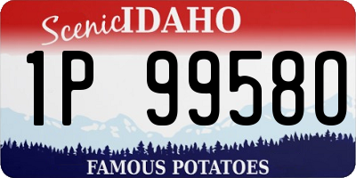 ID license plate 1P9958O