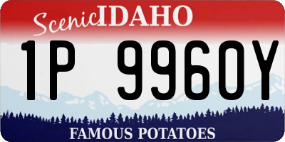 ID license plate 1P9960Y
