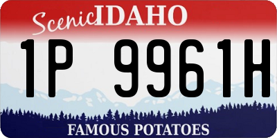 ID license plate 1P9961H