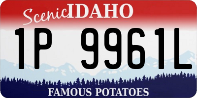 ID license plate 1P9961L