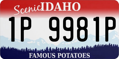 ID license plate 1P9981P