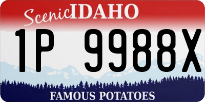 ID license plate 1P9988X