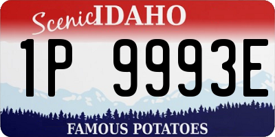 ID license plate 1P9993E