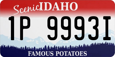 ID license plate 1P9993I