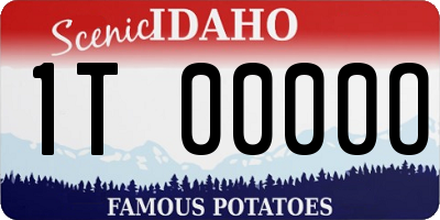 ID license plate 1T0000O