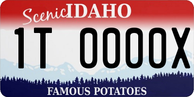 ID license plate 1T0000X