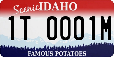 ID license plate 1T0001M