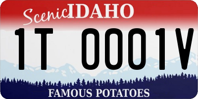 ID license plate 1T0001V