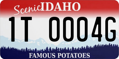 ID license plate 1T0004G