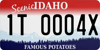 ID license plate 1T0004X