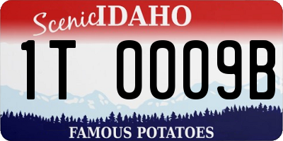 ID license plate 1T0009B