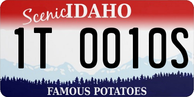ID license plate 1T0010S