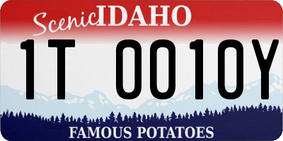 ID license plate 1T0010Y