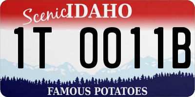 ID license plate 1T0011B