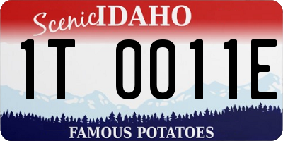 ID license plate 1T0011E