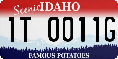 ID license plate 1T0011G