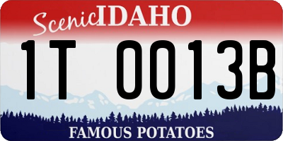 ID license plate 1T0013B