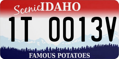 ID license plate 1T0013V