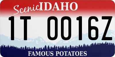 ID license plate 1T0016Z