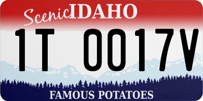 ID license plate 1T0017V