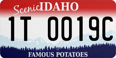 ID license plate 1T0019C