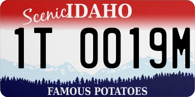 ID license plate 1T0019M