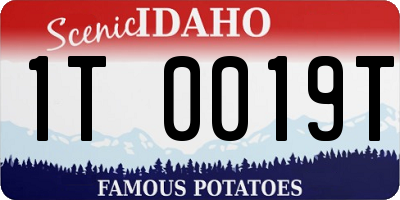 ID license plate 1T0019T