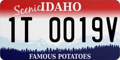 ID license plate 1T0019V