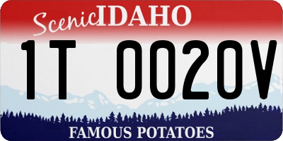 ID license plate 1T0020V