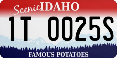 ID license plate 1T0025S