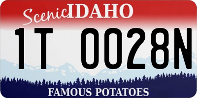 ID license plate 1T0028N