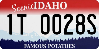 ID license plate 1T0028S