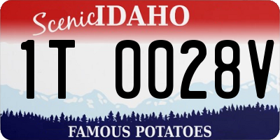 ID license plate 1T0028V