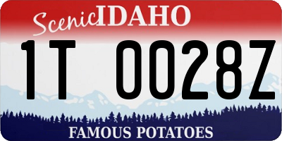 ID license plate 1T0028Z