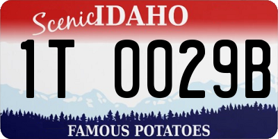 ID license plate 1T0029B
