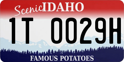 ID license plate 1T0029H