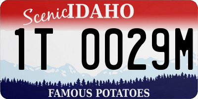 ID license plate 1T0029M
